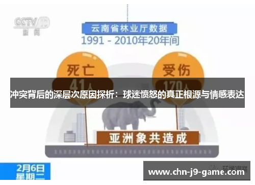 冲突背后的深层次原因探析：球迷愤怒的真正根源与情感表达