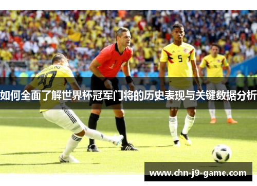 如何全面了解世界杯冠军门将的历史表现与关键数据分析