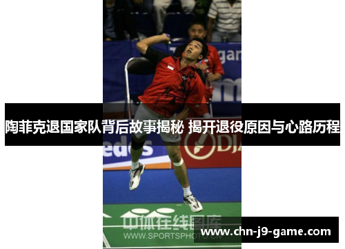 陶菲克退国家队背后故事揭秘 揭开退役原因与心路历程