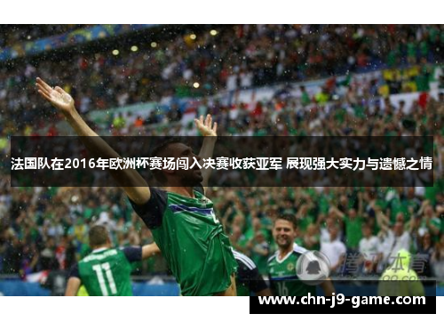 法国队在2016年欧洲杯赛场闯入决赛收获亚军 展现强大实力与遗憾之情