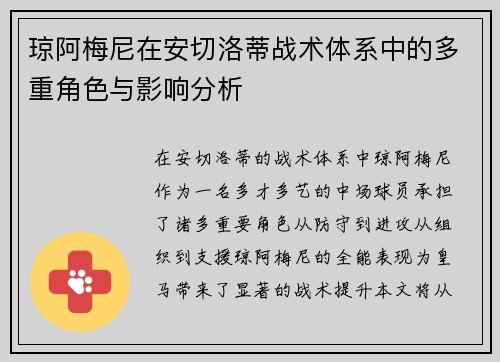 琼阿梅尼在安切洛蒂战术体系中的多重角色与影响分析