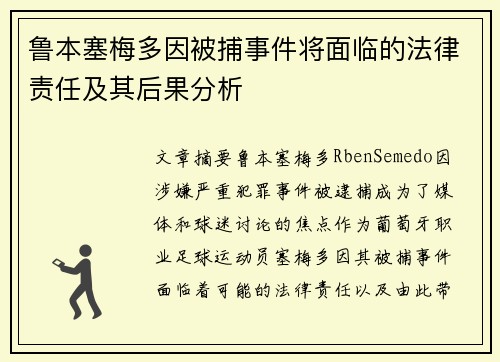 鲁本塞梅多因被捕事件将面临的法律责任及其后果分析